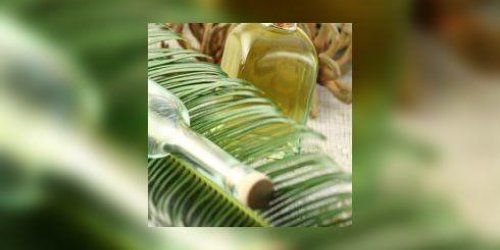 L’huile de palme, taxee par un « amendement Nutella »