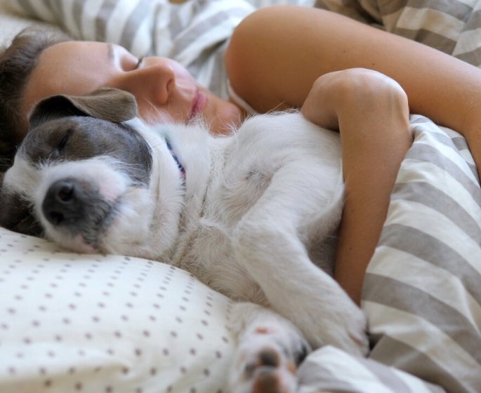 Dormir avec son chien : les 5 bonnes raisons de ceder
