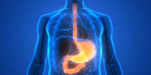 Brulures digestives : l-œsophagite peptique