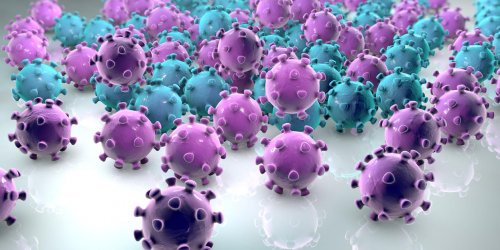 Herpes genital : que faire contre le virus HSV